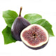 Fig
