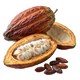Cacao