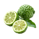 Bergamot
