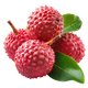Lychee