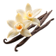 Vanilla