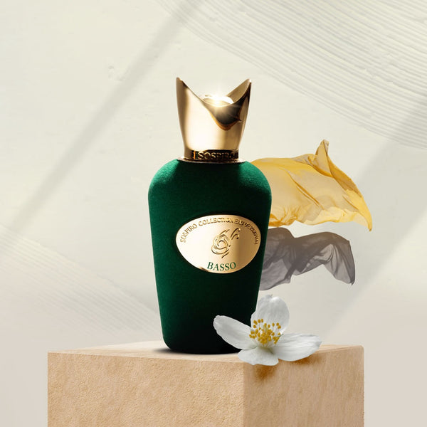 Basso EDP