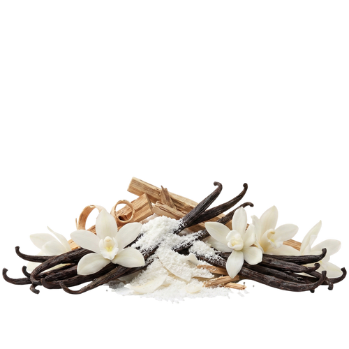 Vanilla Powder XDP - Olfactory Notes