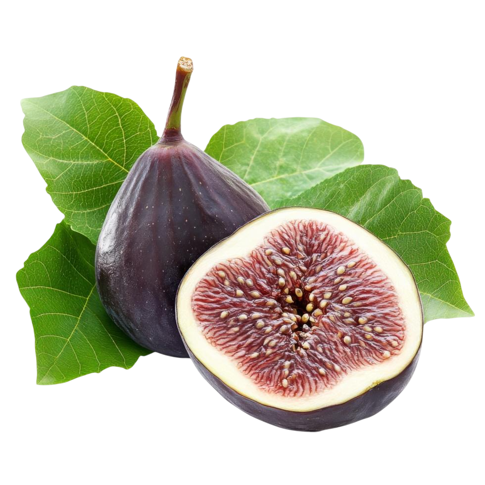 Fig