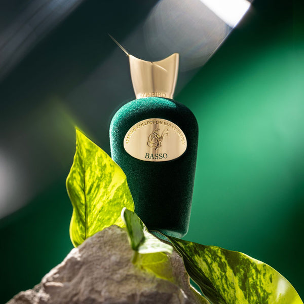 Basso EDP