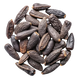 Tonka Bean