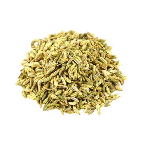 Fennel