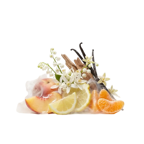 Valaya EDP Tester - Olfactory Notes