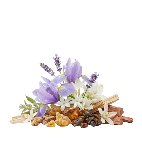 Reflection 45 XDP - Olfactory Notes