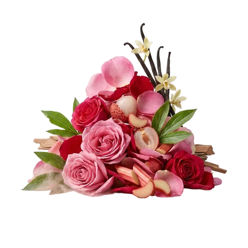 Delina EDP - Olfactory Notes