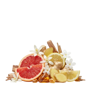 Sospiro Vibrato EDP - Scent Notes