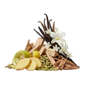 Nishane Ani XDP - Scent Notes