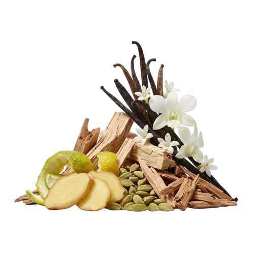 Ani XDP - Olfactory Notes