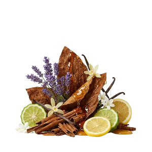 Xerjoff Naxos EDP Tester - Scent Notes