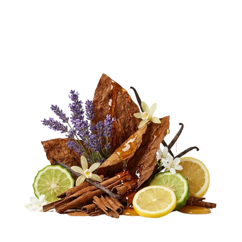 Naxos EDP Tester - Olfactory Notes