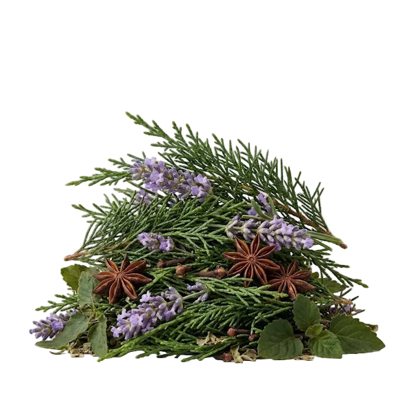 Blue Cypress EDP