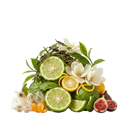 Wulong Cha X XDP - Olfactory Notes