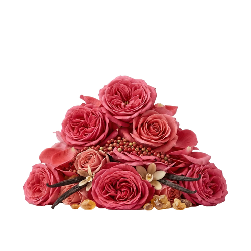 Atomic Rose EDP - Olfactory Notes