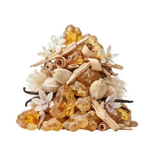 Blessed Baraka EDP - Olfactory Notes