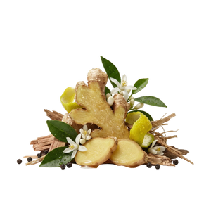 Parfums De Marly Castley EDP Tester - Scent Notes