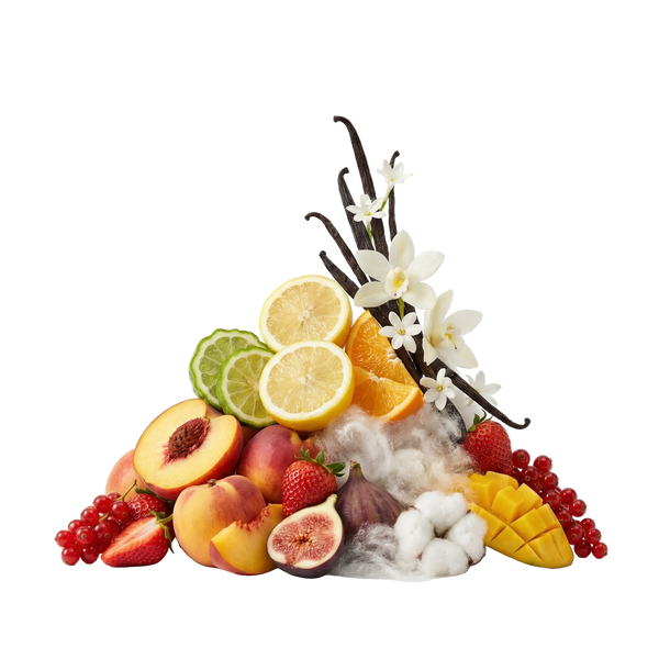 Erba Pura EDP Tester