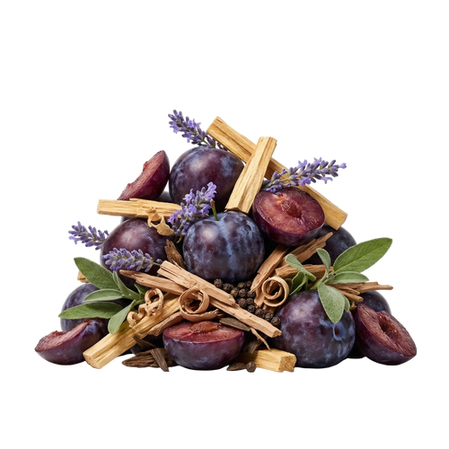 Paragon XDP - Olfactory Notes