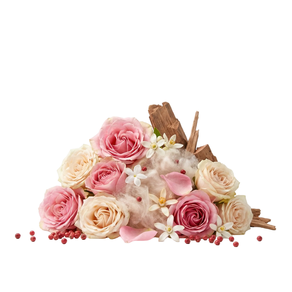 Power Self XDP Tester