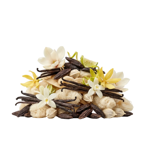 Lift Me Up XDP - Olfactory Notes