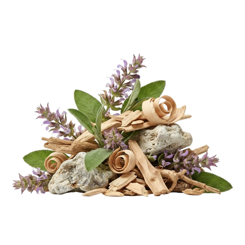 Town & Country EDP - Olfactory Notes