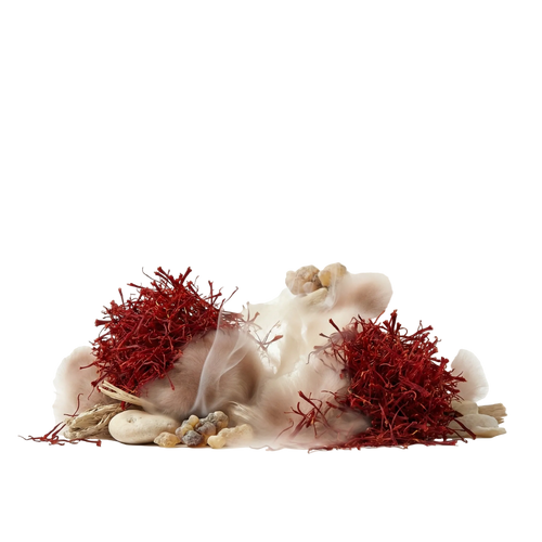 Crystal Saffron EDP - Olfactory Notes