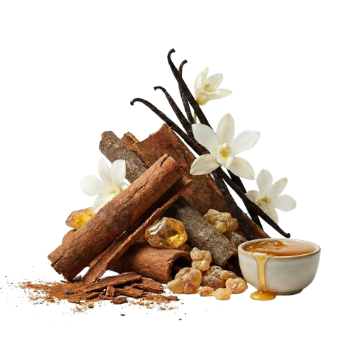 Oajan EDP - Olfactory Notes