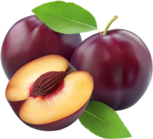 Plum