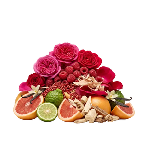 Argos Adonis Awakens EDP - Scent Notes