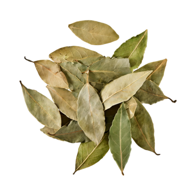 Bay Leaf