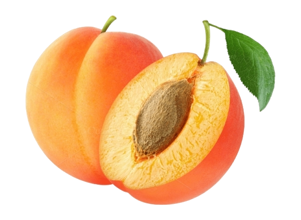 Apricot