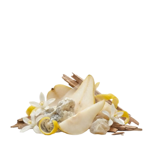 Ex Nihilo Blue Talisman EDP Tester - Scent Notes