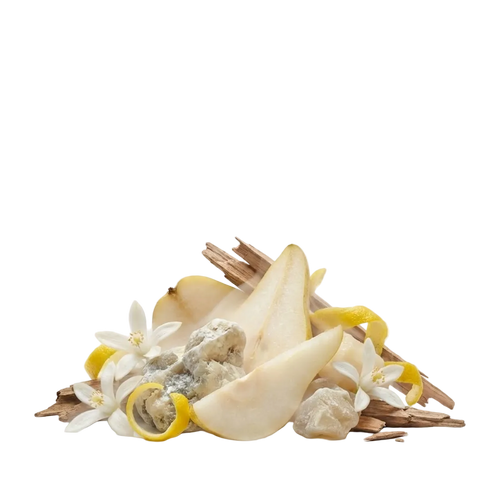 Blue Talisman EDP Tester - Olfactory Notes