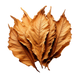 Tobacco