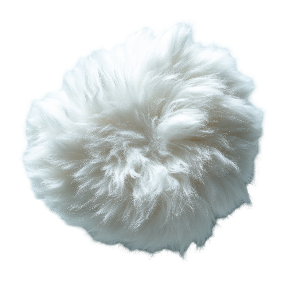Musk