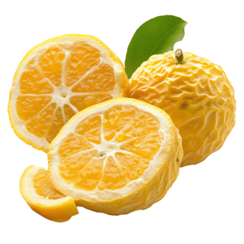 Yuzu