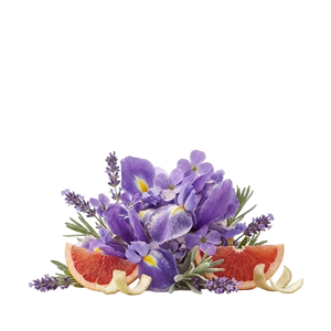 Xerjoff Mefisto Gentiluomo EDP Tester - Scent Notes