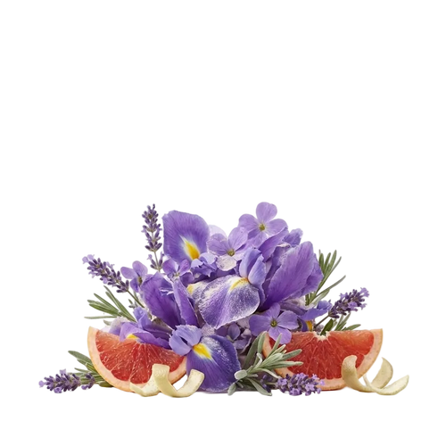 Mefisto Gentiluomo EDP Tester - Olfactory Notes