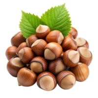 Hazelnut