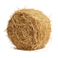 Vetiver