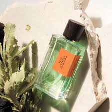 Blue Cypress EDP