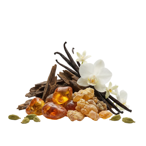 Outlands XDP - Olfactory Notes