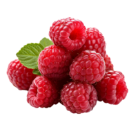 Raspberry