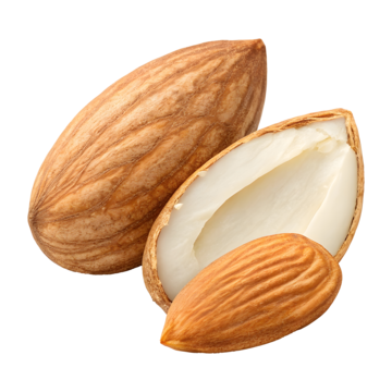Almond