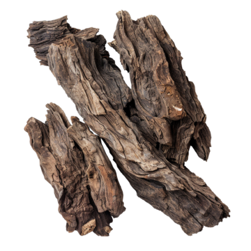 Oud (Agarwood)
