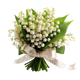 Lily of the Valley